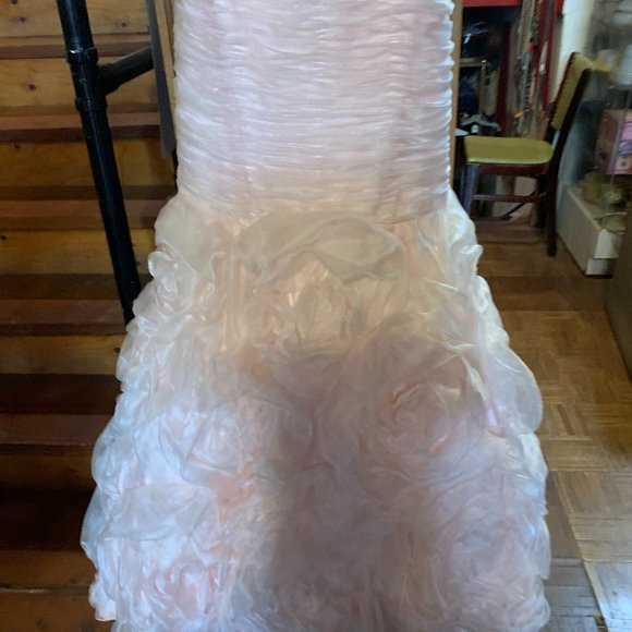 Fancy Ball Gown - Picture 2 of 7